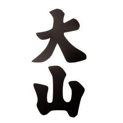 Naklejka kanji Oyama Karate 8x14 na samochód