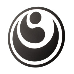 Naklejka Karate Shinkyokushin 10x10 na samochód