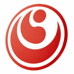 Naklejka Karate Shinkyokushin 10x10 czerwona na samochód