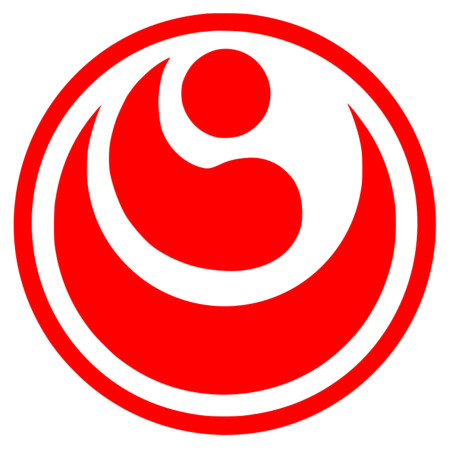 Naklejka Karate Shinkyokushin 10x10 czerwona na samochód