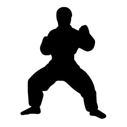 Naklejka karateka karate...