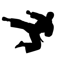 Naklejka karateka karate...