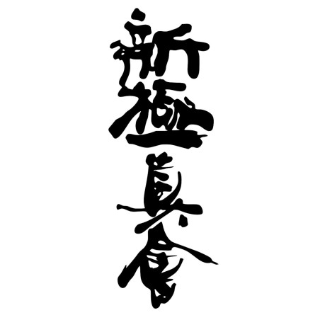 Naprasowanka Aplikacja Termo Shinkyokushin 4,5x13 zamszowa na t-shirt Karate