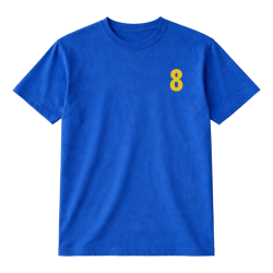 Naprasowanka Aplikacja Termo CYFRY i NAZWISKO na koszulkę t-shirt - różne kolory personalizacja