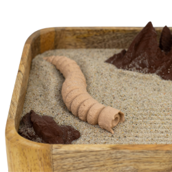 Ogród Ogródek Zen - Pustynna Planeta drewniany Si-Fi SF 22cm x 18,8cm