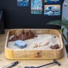 Ogród Ogródek Zen - Pustynna Planeta drewniany Si-Fi SF 22cm x 18,8cm