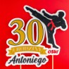 Personalizowany Topper Karate Dekoracyjny Urodzinowy 3D
