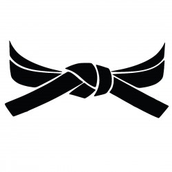 Naklejka pas 13x6 na samochód