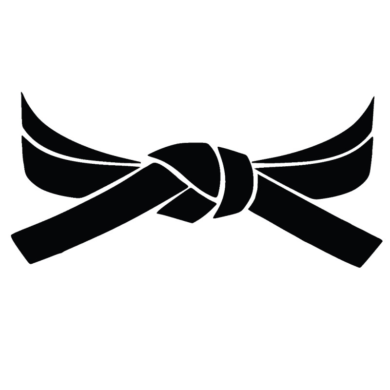 Naklejka pas 13x6 na samochód