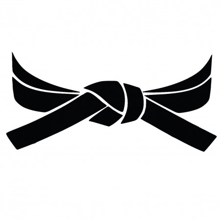 Naklejka pas 13x6 na samochód